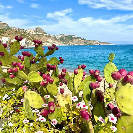 Oasi Sul Mare: Comodo Apartment